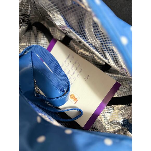 Brand New Temptations by Tara Cooler Bag - Blue Polka Dot - Picture 3 of 7